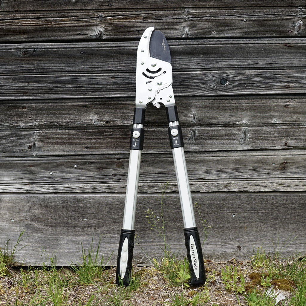 Heavy Duty Anvil Lopper