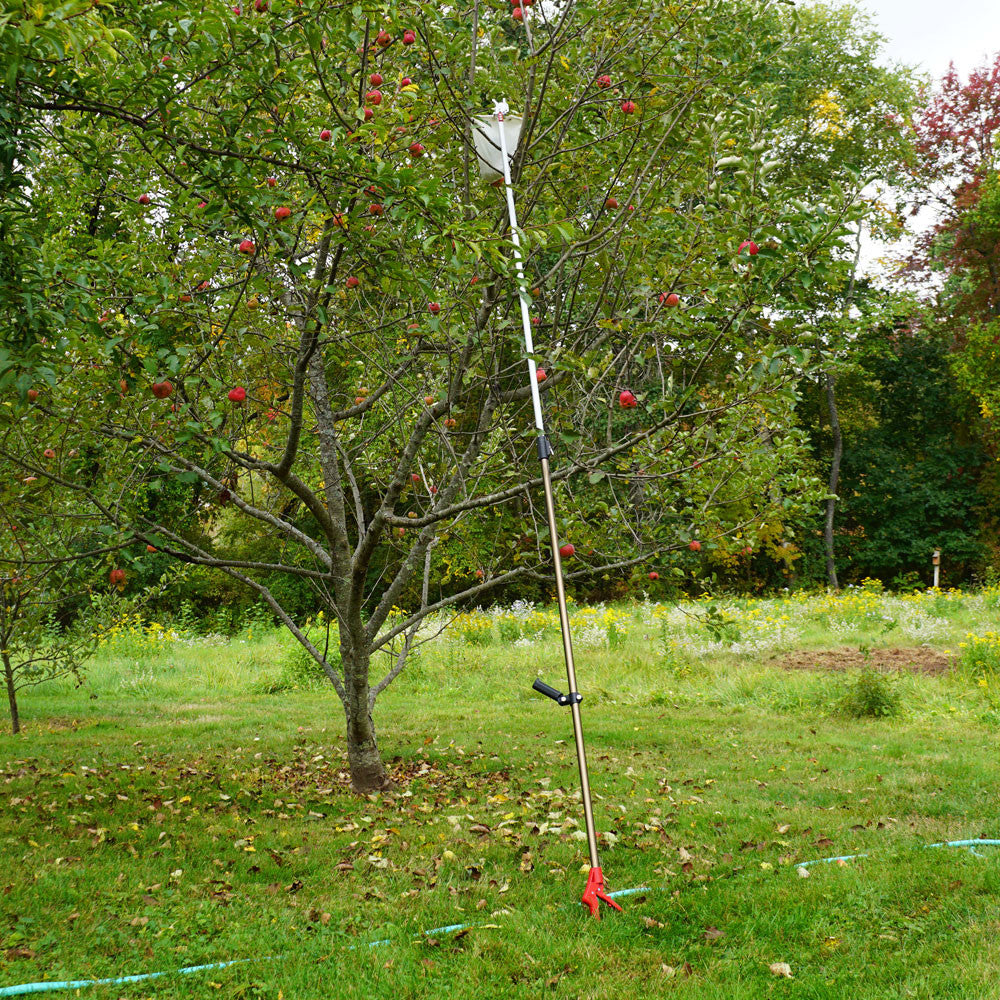 Telescopic Fruit Picker with Cutter and Bag