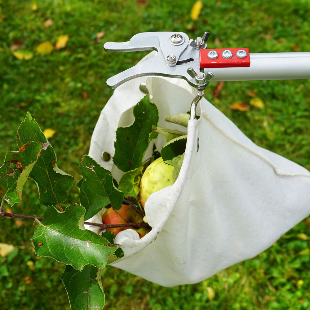 Telescopic Fruit Picker with Cutter and Bag
