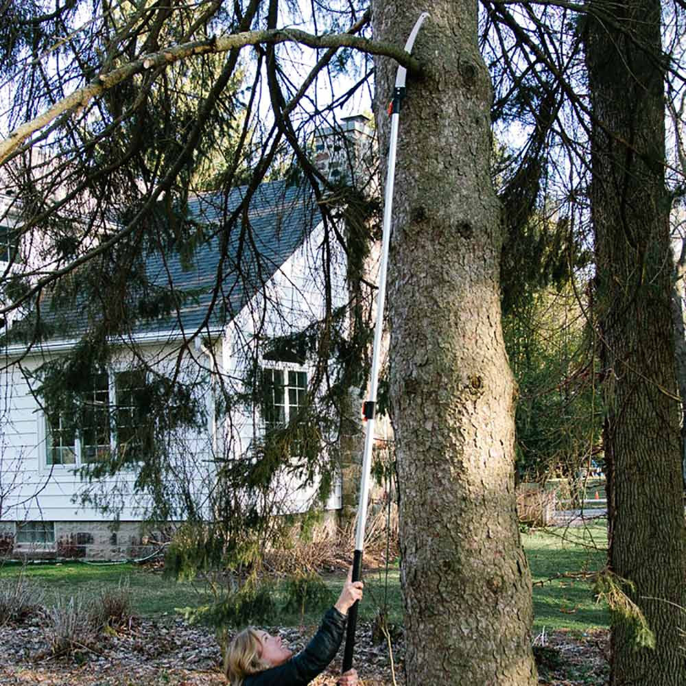 Extendable Jumbo Pole Saw and Pruner with Snap-Lock