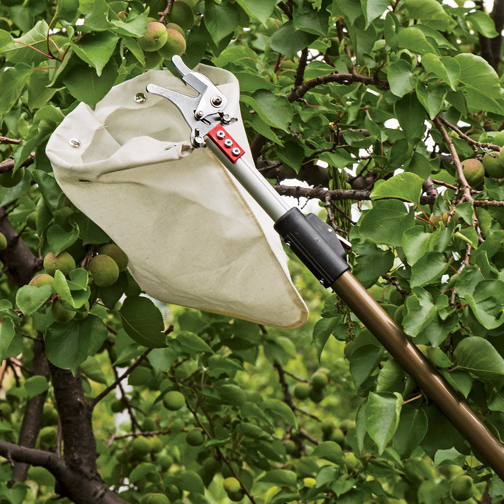 Telescopic Fruit Picker with Cutter and Bag