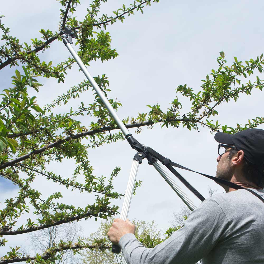 Arborist Branch Cutter and Trimmer with Harness
