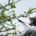 Arborist Branch Cutter and Trimmer with Harness