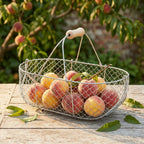 Medium Woven Galvanized Steel Basket with Beech Handles