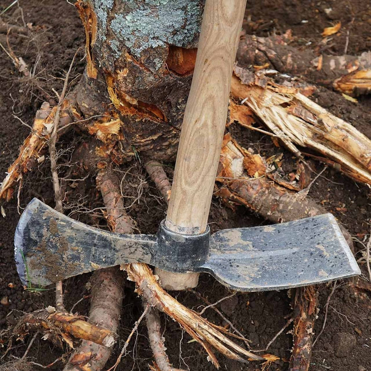 Traditional Mattock with Forged Steel Combination Head