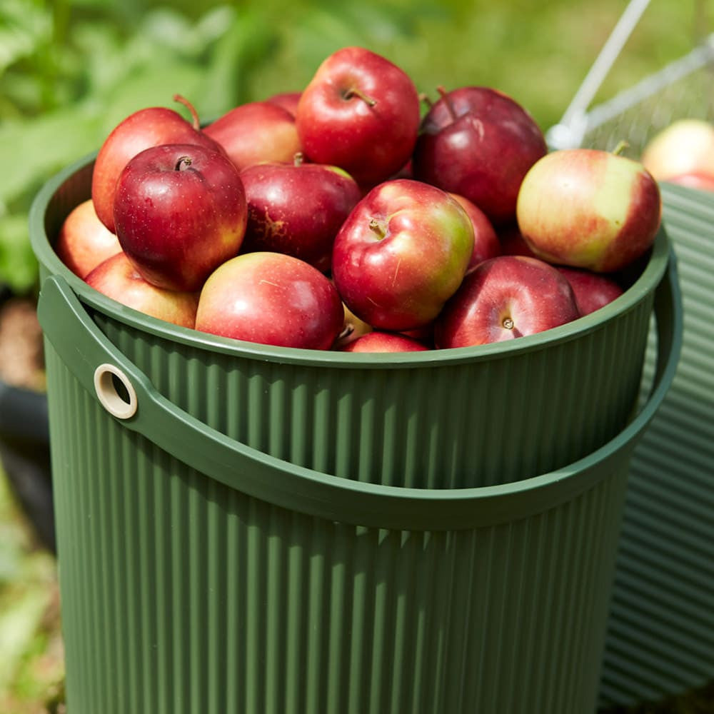 Modern Japanese Garden Bucket