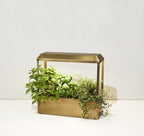 Kitchen Garden Growhouse with Full-Spectrum LED Lighting
