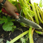 Professional Gardener's Digging Tool with Serrated Blade