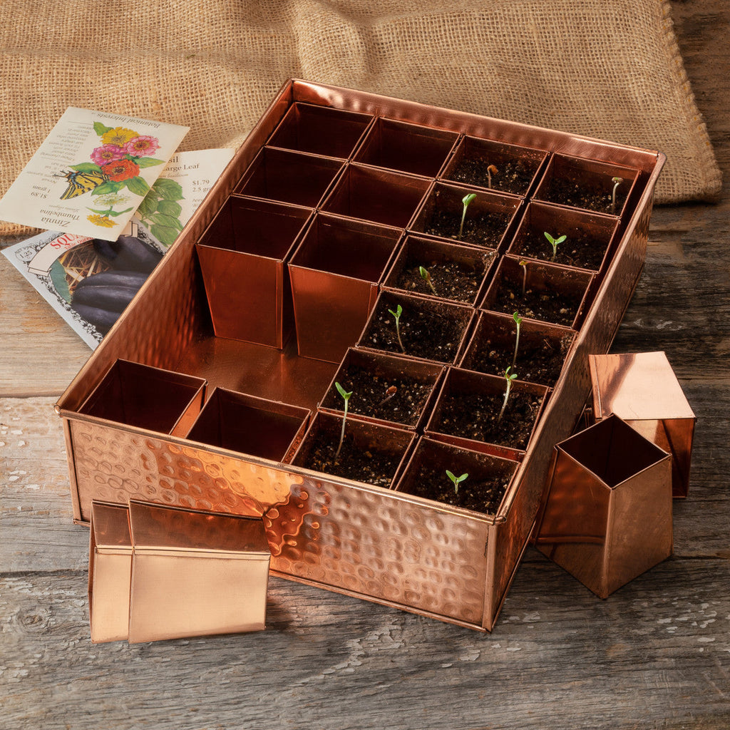 Copper Seed Starting Tray with Bottomless Inserts