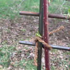 Interlocking Steel Garden Trellis for Climbing Plants