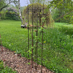 Interlocking Steel Garden Trellis for Climbing Plants