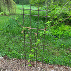 Interlocking Steel Garden Trellis for Climbing Plants
