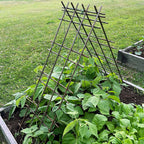 Interlocking Steel Garden Trellis for Climbing Plants