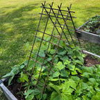 Interlocking Steel Garden Trellis for Climbing Plants