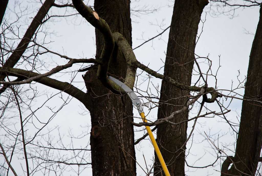 19 ft Fiberglass Pole Saws with Curved Cutting Blades