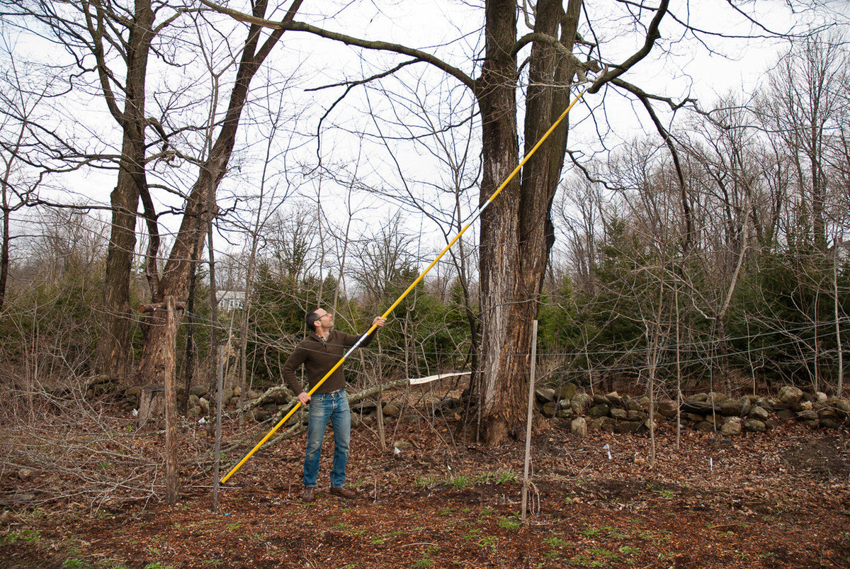 19 ft Fiberglass Pole Saws with Curved Cutting Blades
